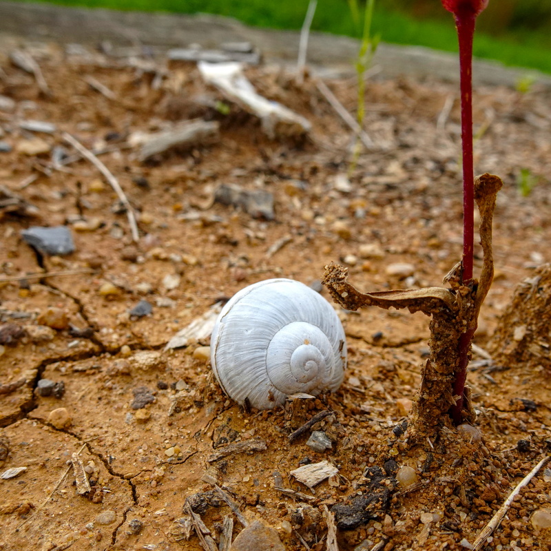 2025-10-12  14-10-39