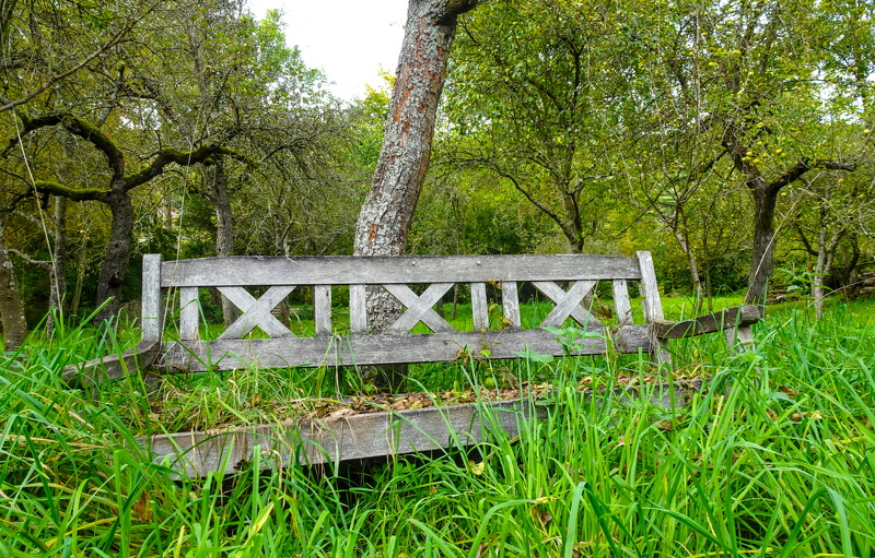 2025-10-12  14-19-46