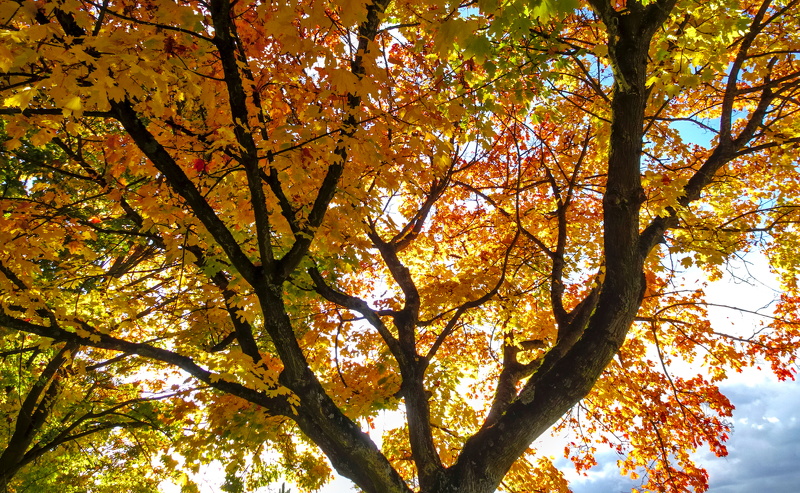 2025-10-15  16-33-01