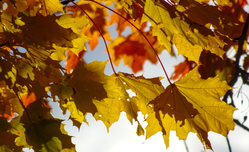 2025-10-15  16-33-09