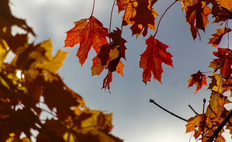 2025-10-15  16-33-15