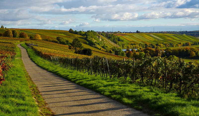 2025-10-15  16-44-14