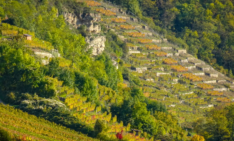 2025-10-15  16-44-49