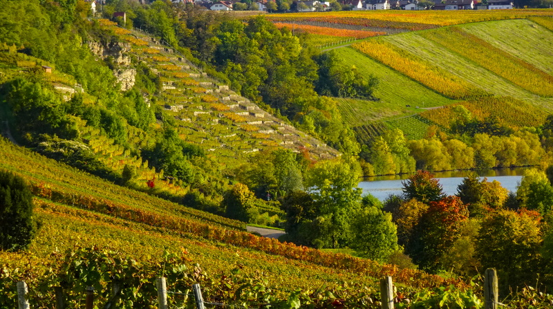 2025-10-15  16-44-56