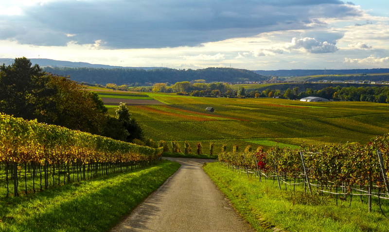 2025-10-15  16-57-57