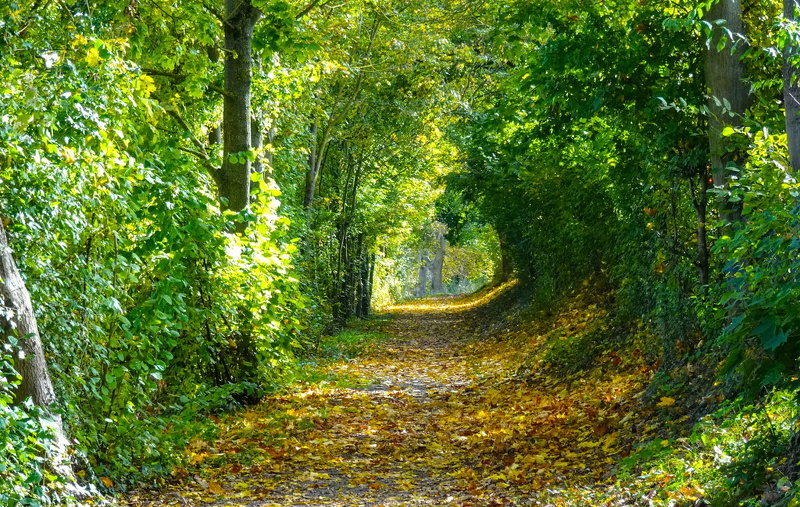 2025-10-19  13-12-55