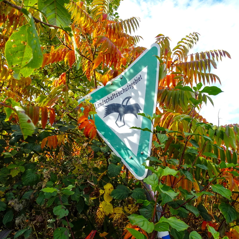 2025-10-19  14-33-54