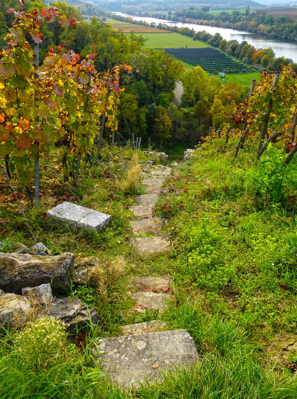 2025-10-19  14-39-28