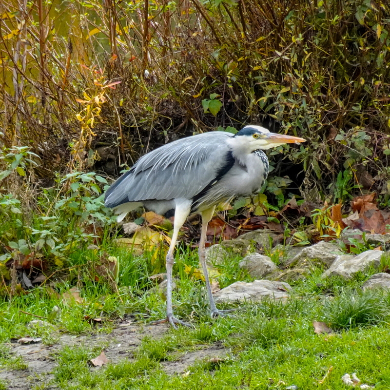 2025-11-14  13-58-51