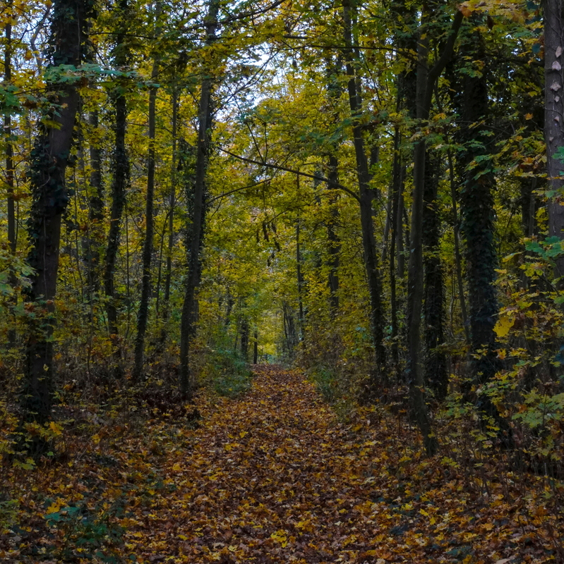 2025-11-14  14-36-13