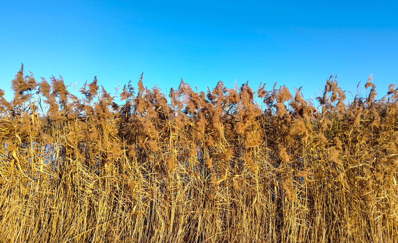 2025-12-28  12-59-20