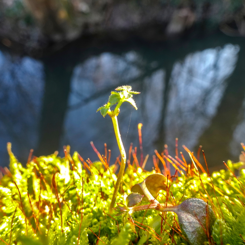 2025-12-29  15-17-27