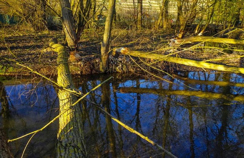 2025-12-29  15-48-23