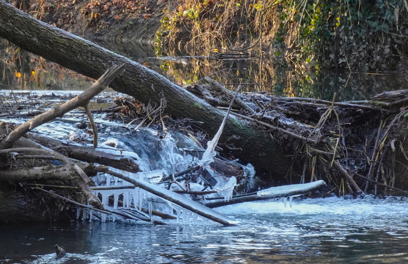 2025-12-29  15-52-59