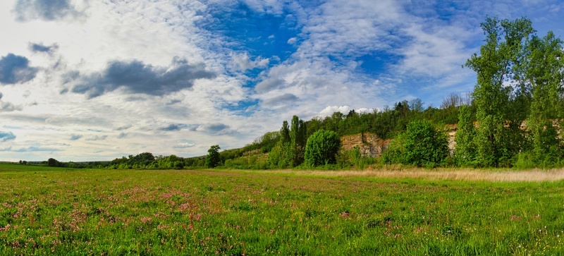 Neckarwiesenpano