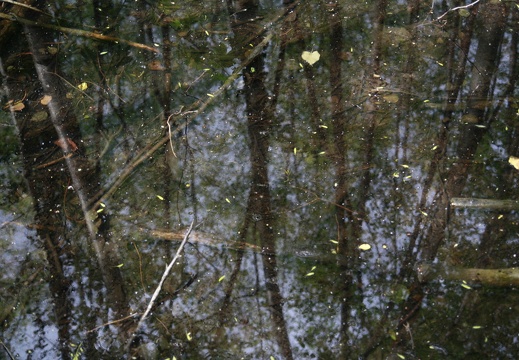 2010-05-16  154502
