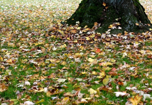 2010-10-23  114015