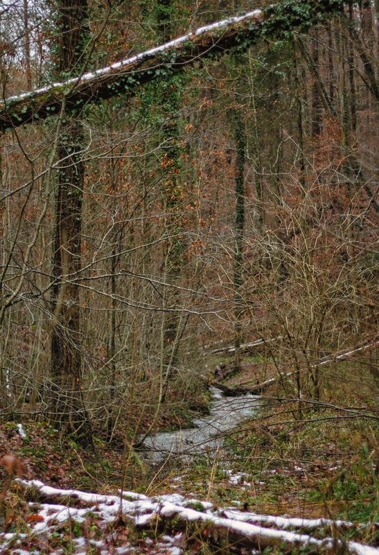 2022-01-09  13-53-14