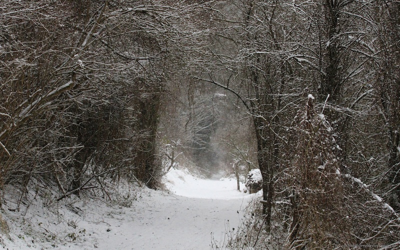 2014-12-30 um 11-48-37
