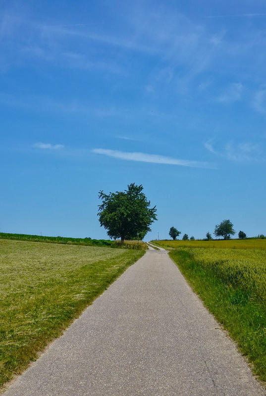 2025-06-21  13-15-34