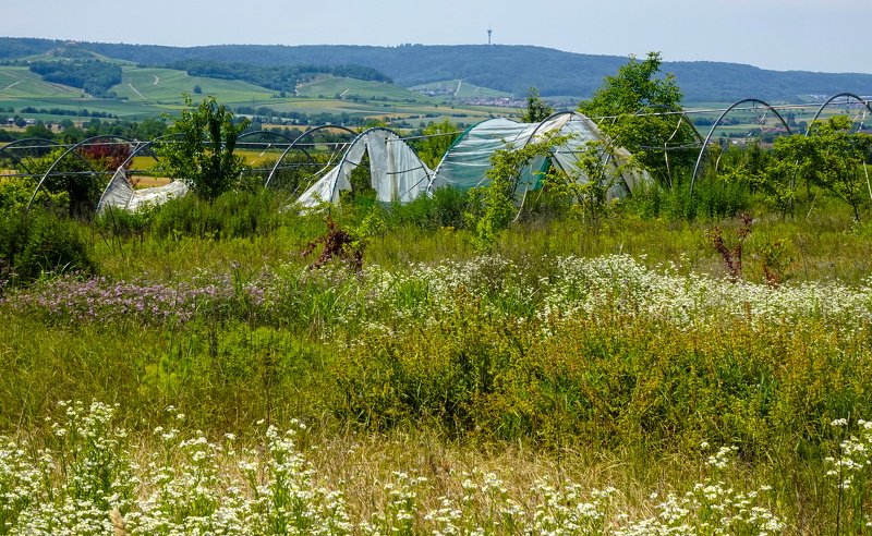 2025-06-21  13-26-59