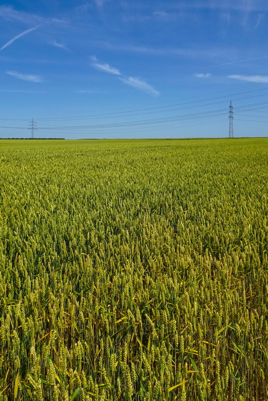 2025-06-21  13-28-08