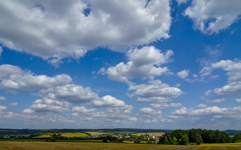 2025-08-16  12-53-35