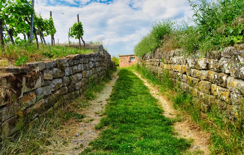 DSC04232