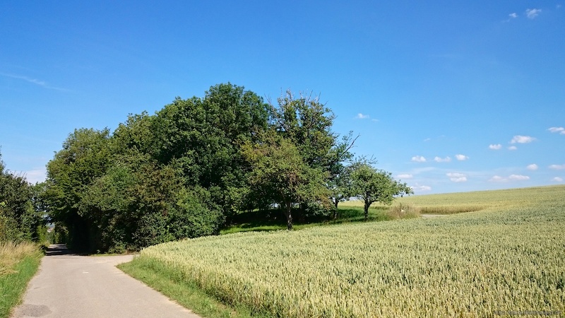 2015-06-26 um 16-09-20