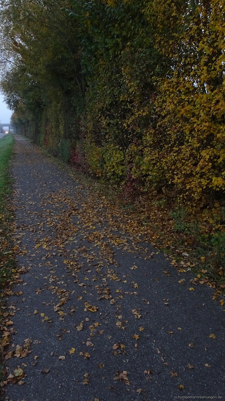 2016-10-27 um 08-09-10