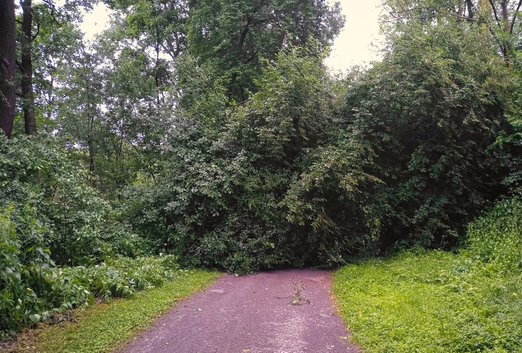 2021-06-29__07-19-29.jpg