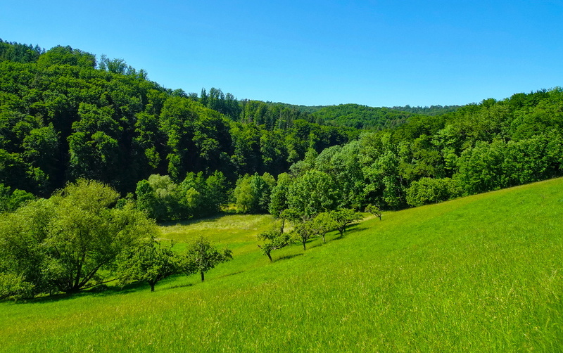 2025-05-30  15-23-09