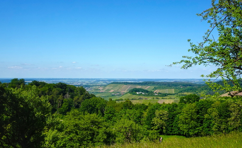 2025-05-30  15-56-51