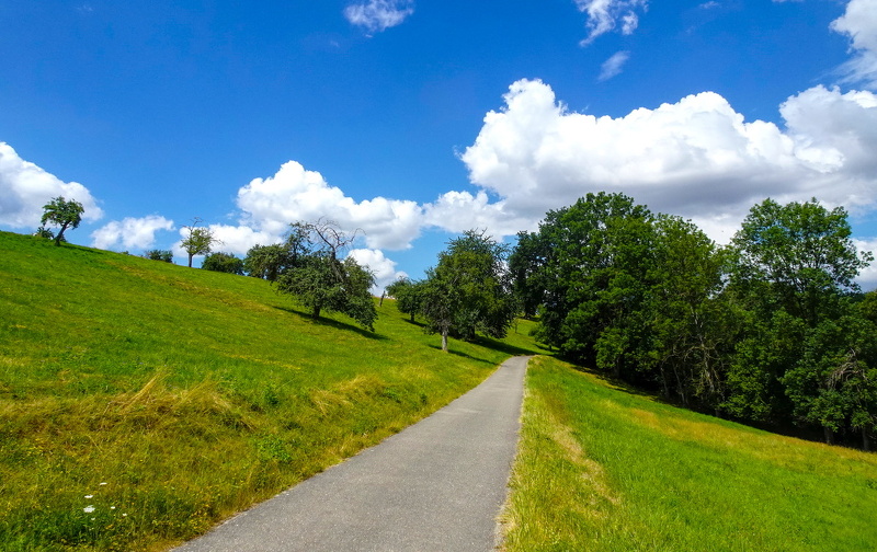 2025-07-12  12-07-29