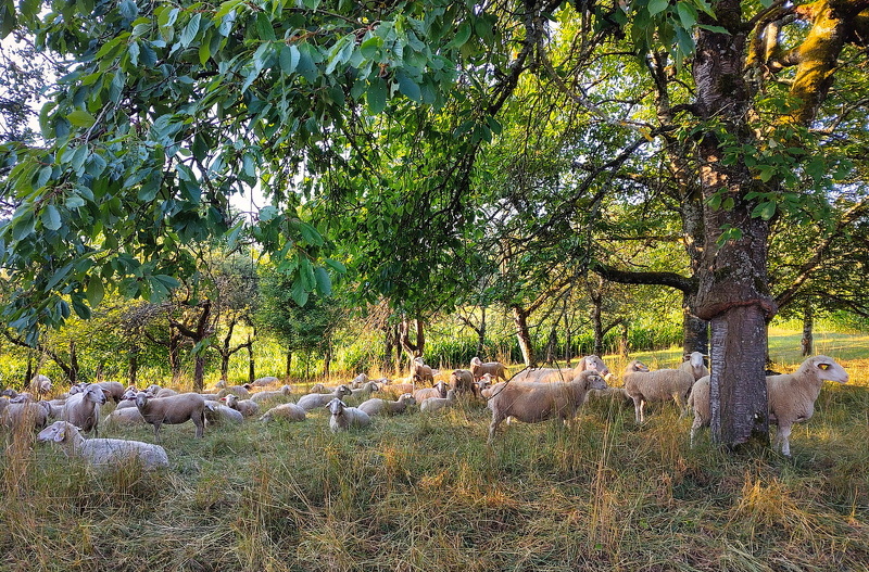 2025-07-18  07-18-06