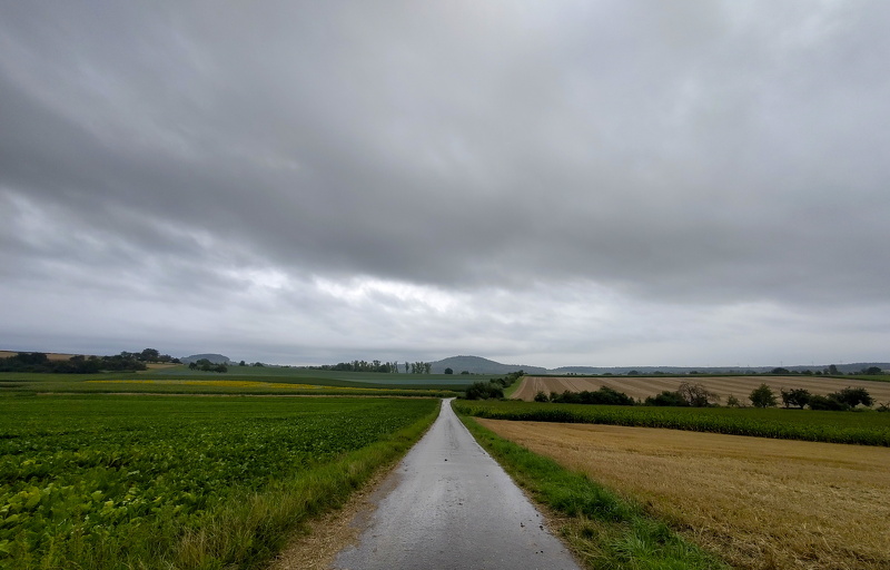 2025-07-31  07-42-25