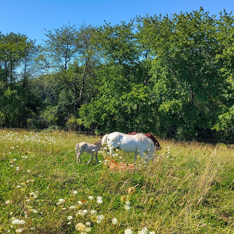 2025-08-08  16-11-13