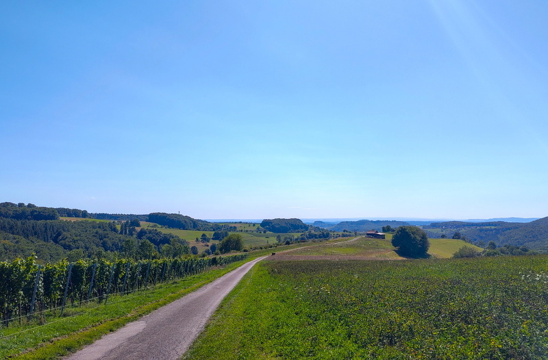 2025-08-08  16-12-46