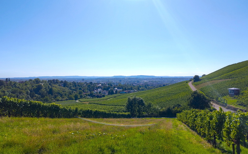 2025-08-08  17-10-37