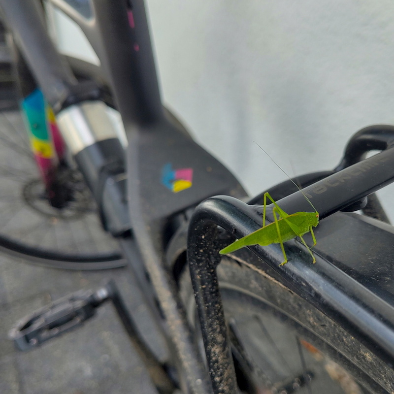 2025-08-29  15-23-41