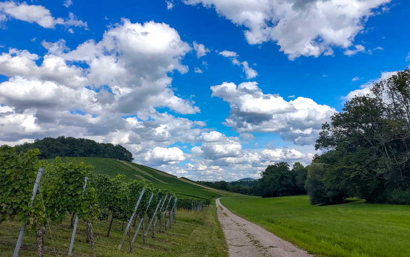 2025-08-29  15-52-02