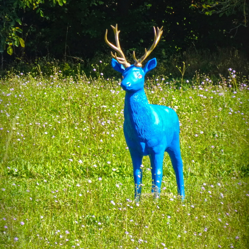 2025-09-06  11-19-27