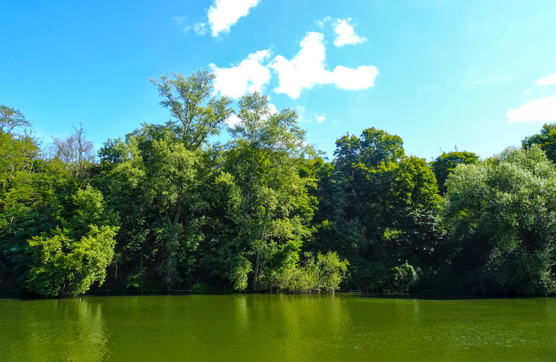 2025-09-06  13-26-18