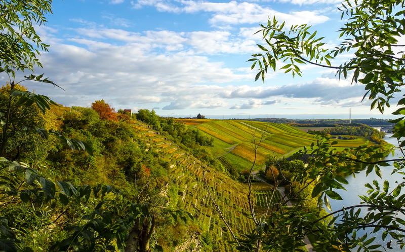 2025-10-15  16-52-28