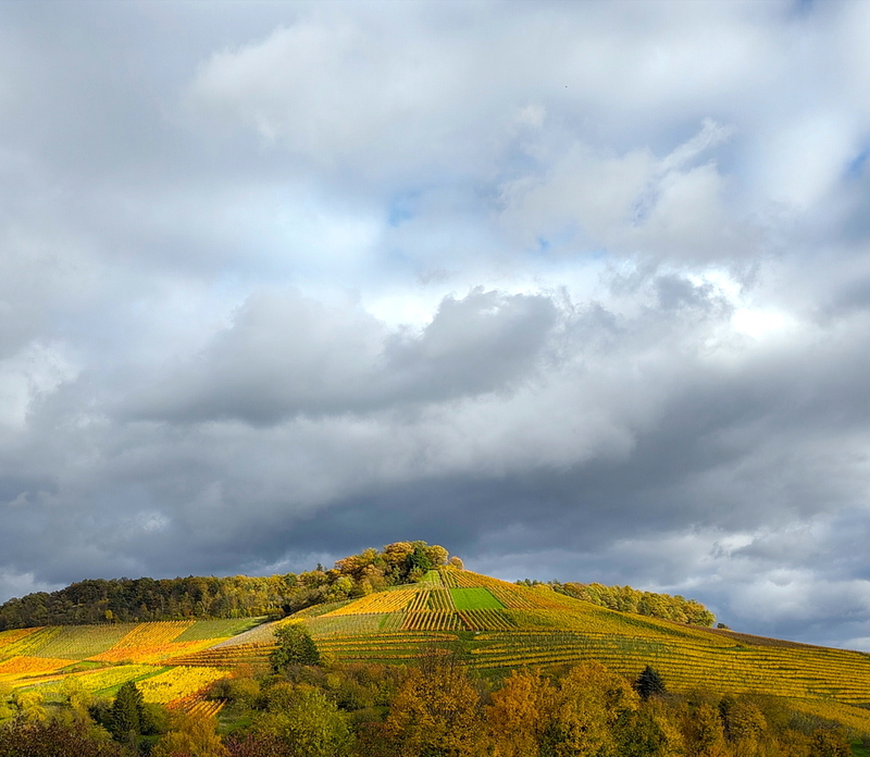 2025-10-24  15-36-08