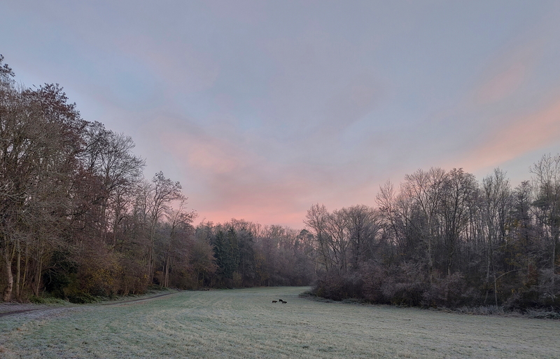 2025-11-18  07-36-53