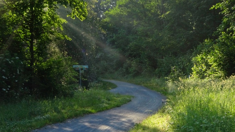 DSC01382