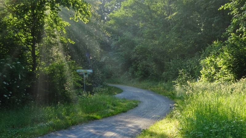 DSC01382 2