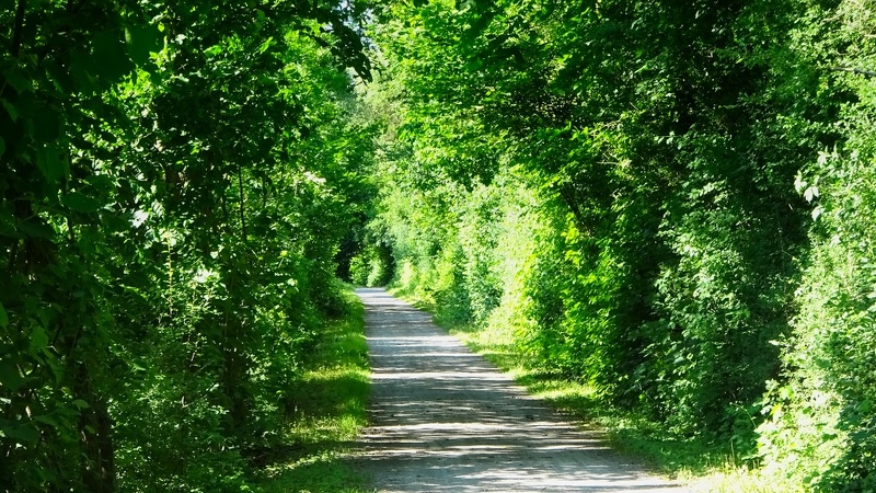 DSC01425