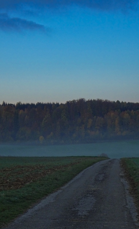 DSC03010